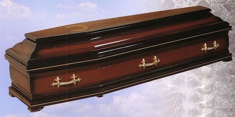 Модел ковчег 26 — ковчези за погребение от АМИН